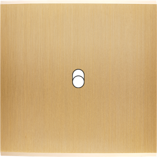 Façade Confidence Laiton Brosse Simple B1