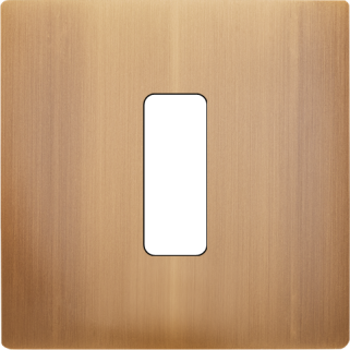 Façade M Vieux Bronze Brosse Simple 1 Bouton magnétique