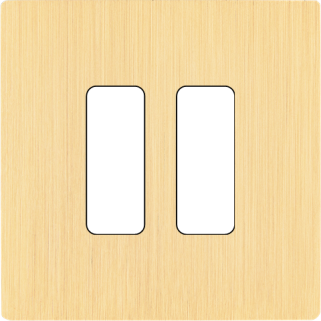 Façade M Laiton Brosse Simple 2 Boutons magnétique