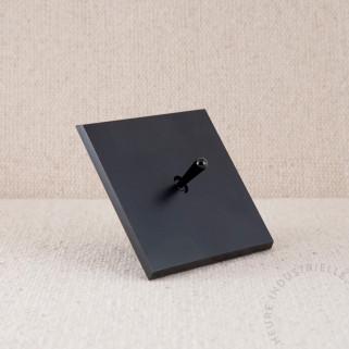 Commande Duo simple Modelec Confidence noir levier noir