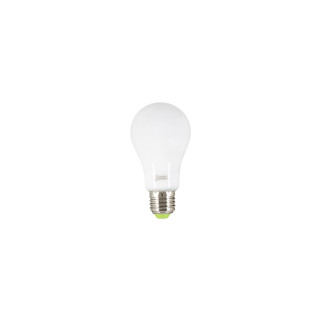 Ampoule LED E27 12W 2700k