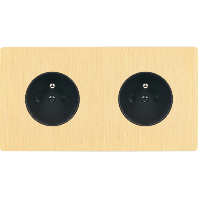 Façade M Laiton Brosse Double Horizontale 2 Prises magnétique