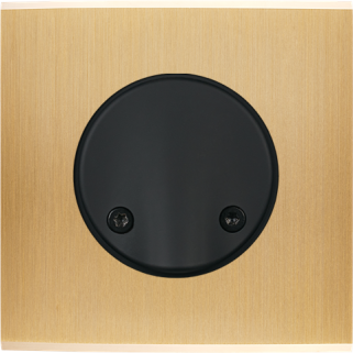 Façade Confidence Laiton Brosse Simple SC Aimant