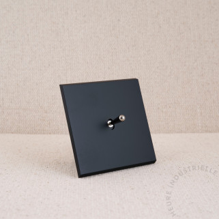 Commande Duo simple Modelec Confidence noir levier acier