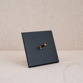 Commande Duo simple Modelec Confidence noir levier laiton