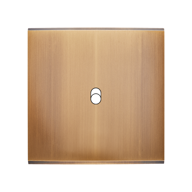 Façade Confidence Laiton Vieux Bronze Simple B1