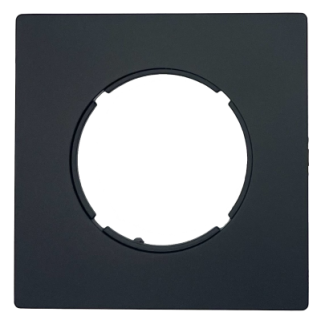 Plaque DOM 1 poste Noir mat