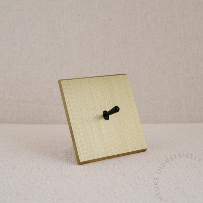 Commande Duo simple Modelec Confidence laiton brossé levier noir