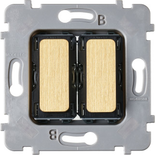 Mécanisme Plat 2 Boutons Vv Et/Ou Poussoir Collection M Laiton Brosse